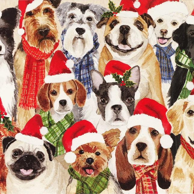 Deck the Dogs Deluxe Boxed Holiday Cards