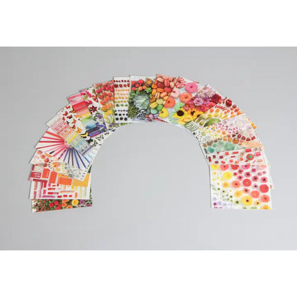 Encyclopedia of Rainbows Notes