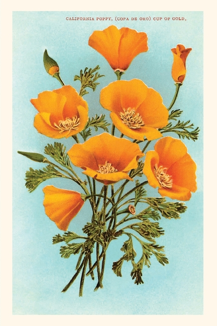 Vintage California Poppy Journal