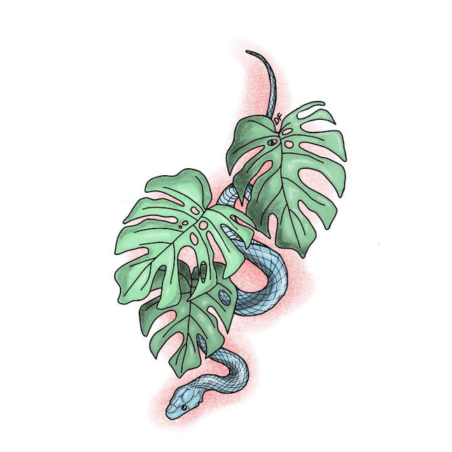 Monstera Snake