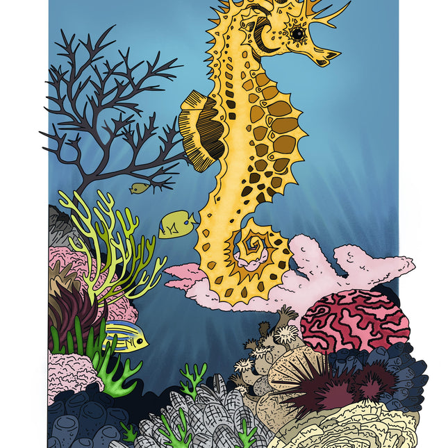 Seahorse