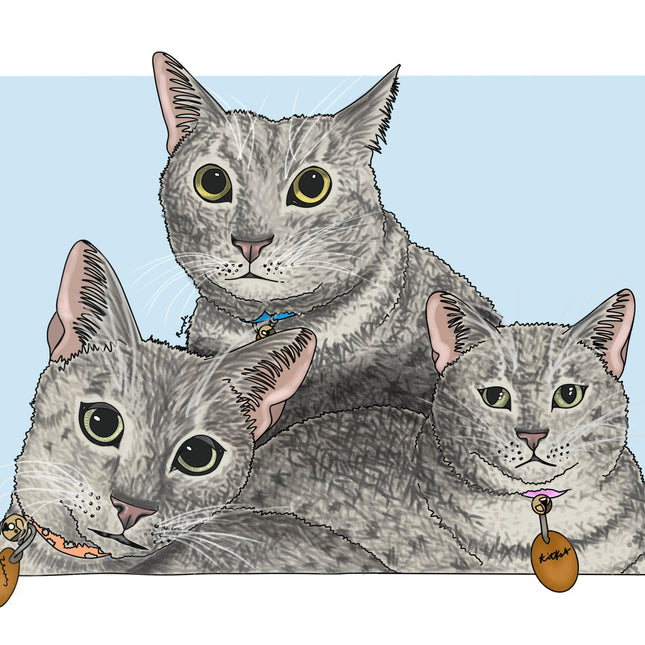 Three Felines