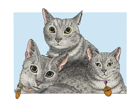 Three Felines