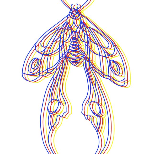 Neon Moth Print