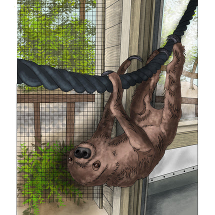 Sloth Encounter Print