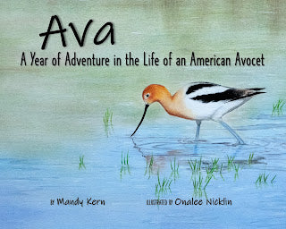 Ava by Mandy Kern HB