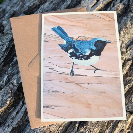 Black-throated Blue Warbler Card