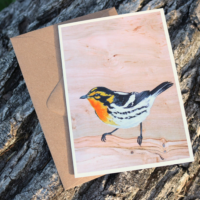 Blackburnian Warbler Card