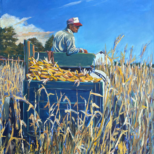 Corn Harvest