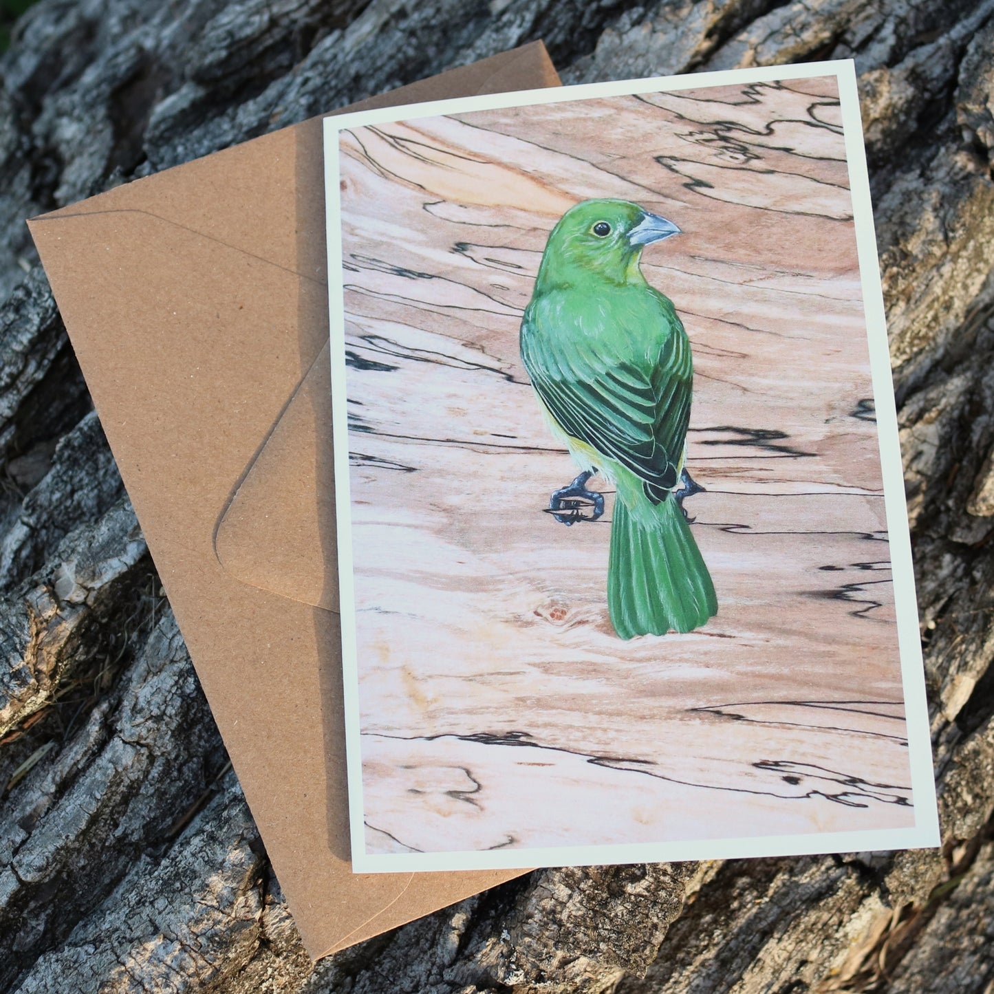 Painted Bunting Card