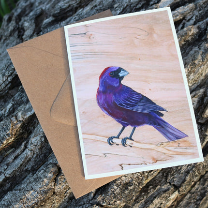 Varied Bunting Card