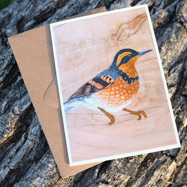 Varied Thrush Card