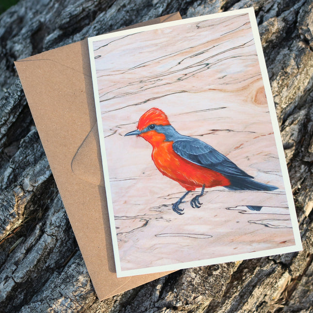 Vermillion Flycatcher Card
