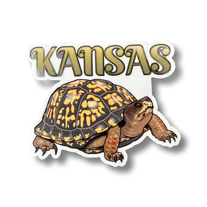 Kansas Box Turtle